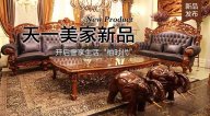 天一美家柚至尊新品，開啟奢享生活柚時代！